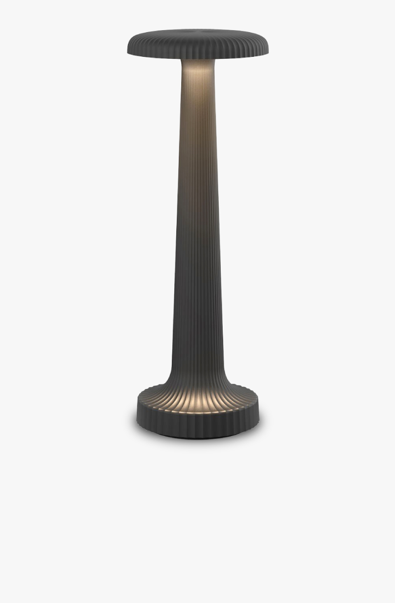 TALL POPPY NEOZ Lighting - Lampes de table sans fil